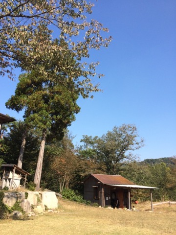 中古車販売 中古車買取 アップル