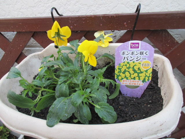 中古車販売 中古車買取 アップル