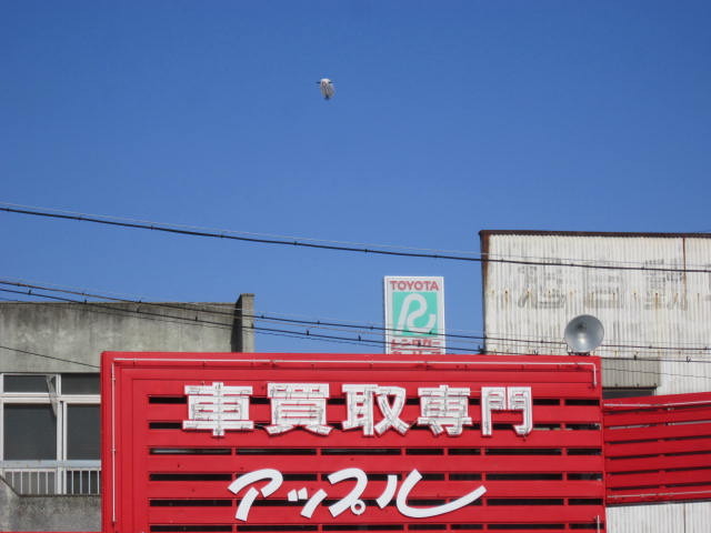 中古車販売 中古車買取 アップル