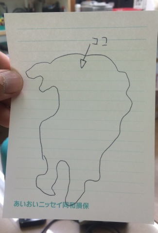 中古車販売 中古車買取 アップル