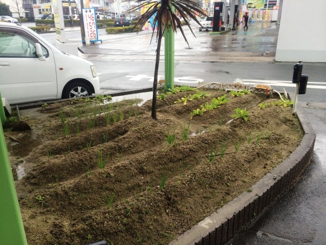 中古車販売 中古車買取 アップル