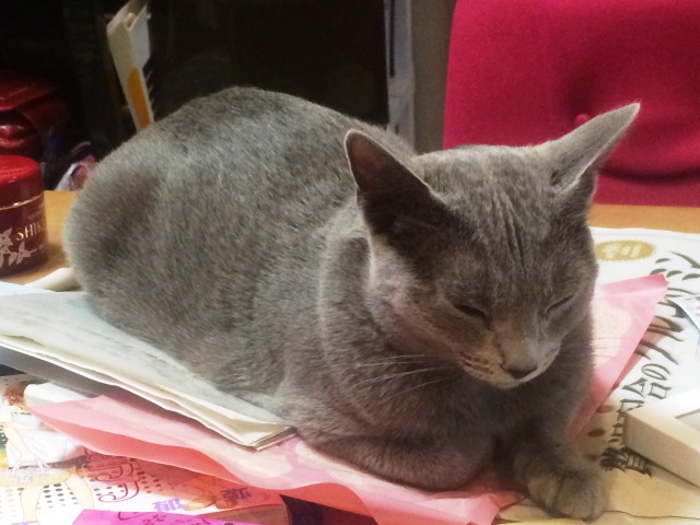 中古車販売 中古車買取 アップル