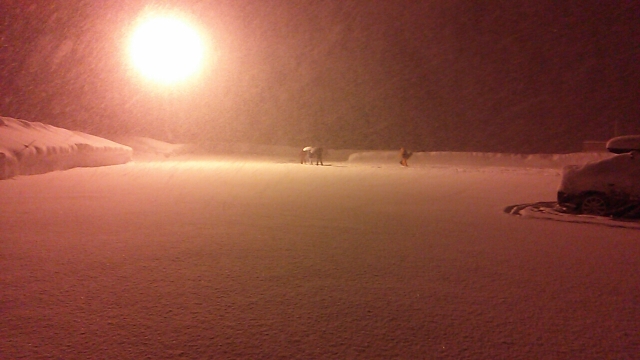 中古車販売 中古車買取 アップル