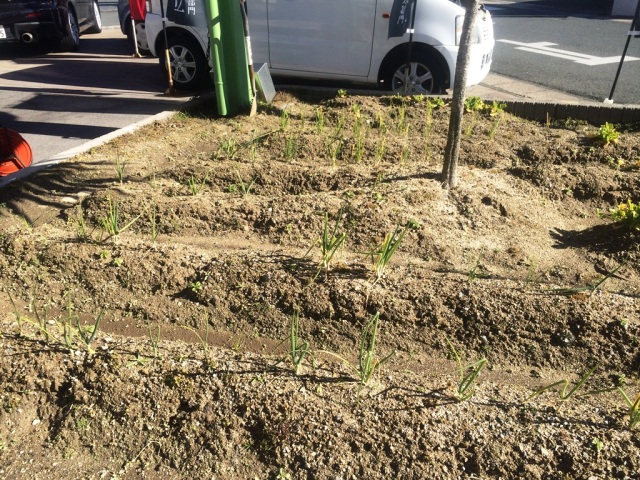 中古車販売 中古車買取 アップル