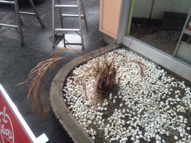 中古車販売 中古車買取 アップル