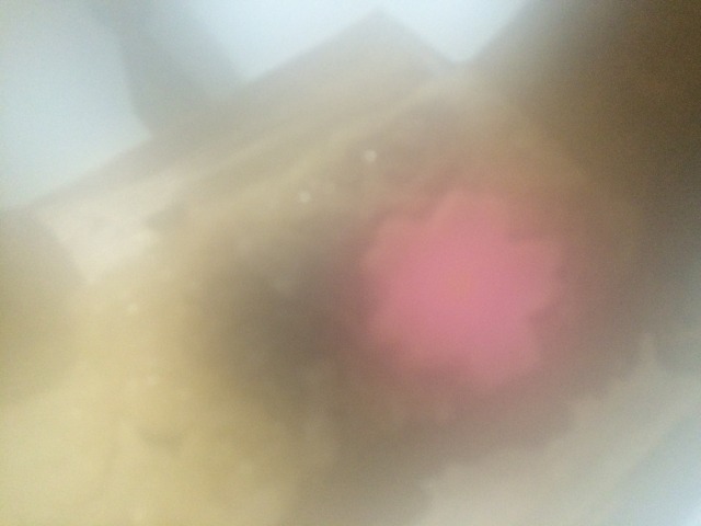 中古車販売 中古車買取 アップル