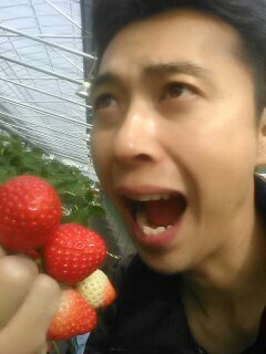 中古車販売 中古車買取 アップル