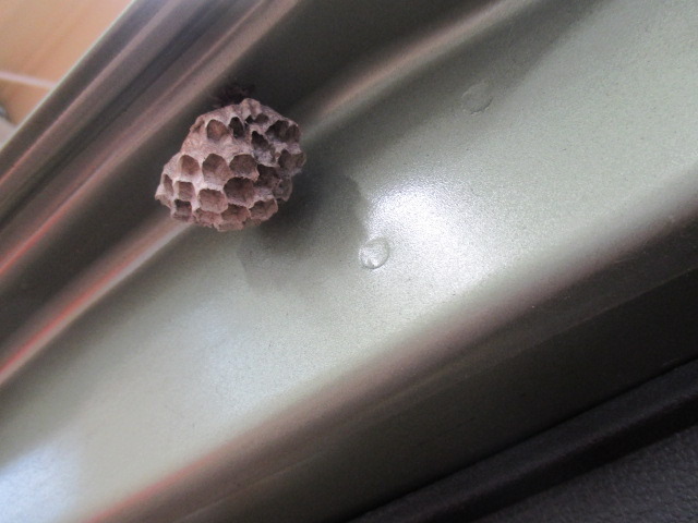 中古車販売 中古車買取 アップル