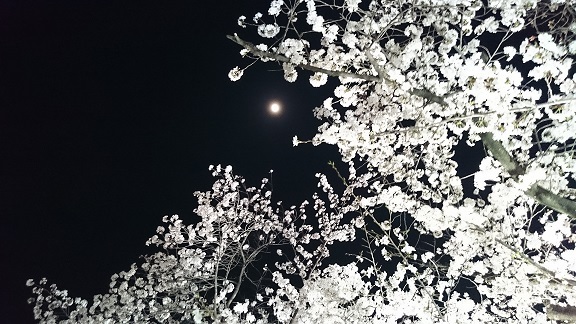 中古車販売 中古車買取 アップル