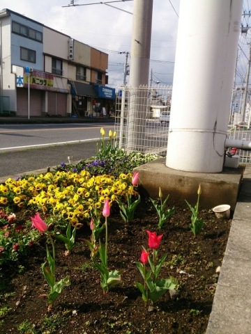 中古車販売 中古車買取 アップル