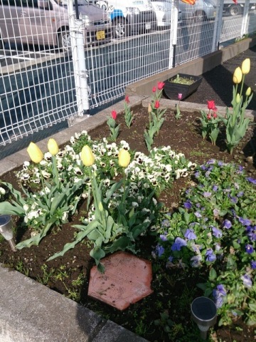 中古車販売 中古車買取 アップル