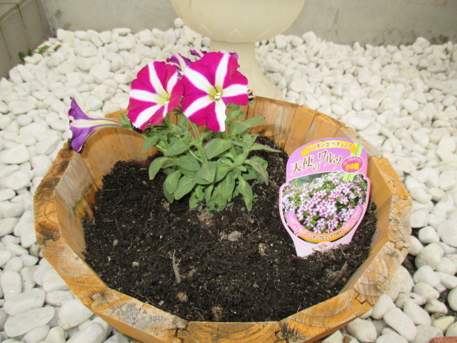 中古車販売 中古車買取 アップル