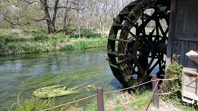 中古車販売 中古車買取 アップル