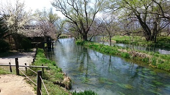 中古車販売 中古車買取 アップル