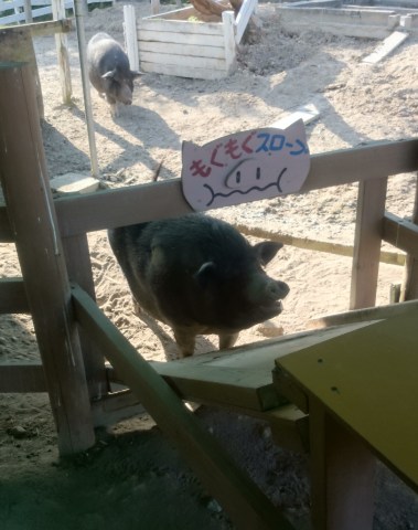 中古車販売 中古車買取 アップル