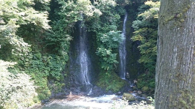 中古車販売 中古車買取 アップル