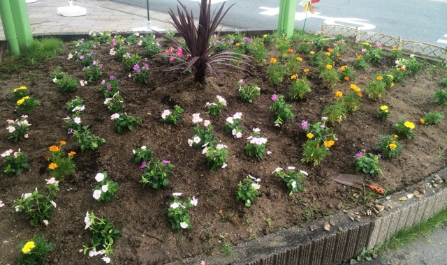 中古車販売 中古車買取 アップル