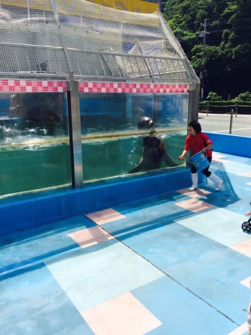 中古車販売 中古車買取 アップル