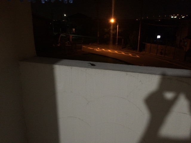 中古車販売 中古車買取 アップル