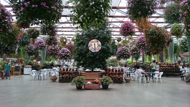 中古車販売 中古車買取 アップル