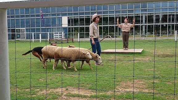 中古車販売 中古車買取 アップル