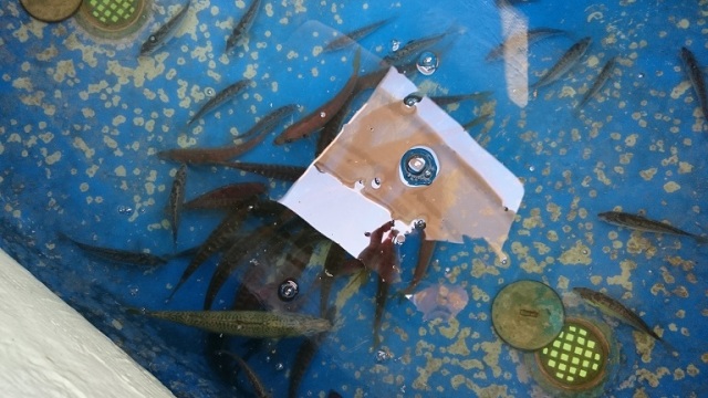 中古車販売 中古車買取 アップル