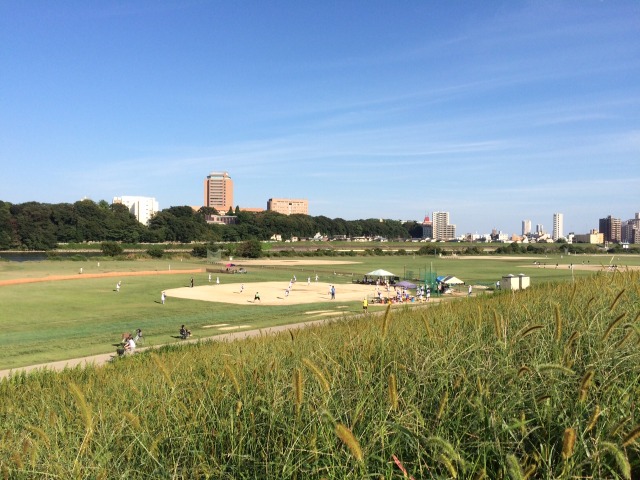 中古車販売 中古車買取 アップル