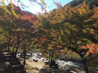 中古車販売 中古車買取 アップル