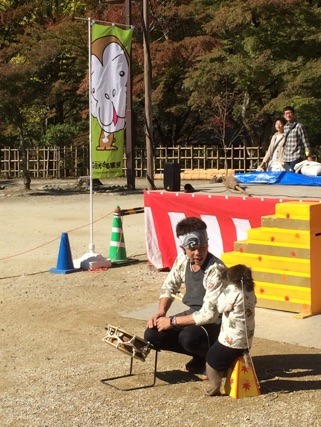 中古車販売 中古車買取 アップル