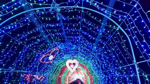 中古車販売 中古車買取 アップル