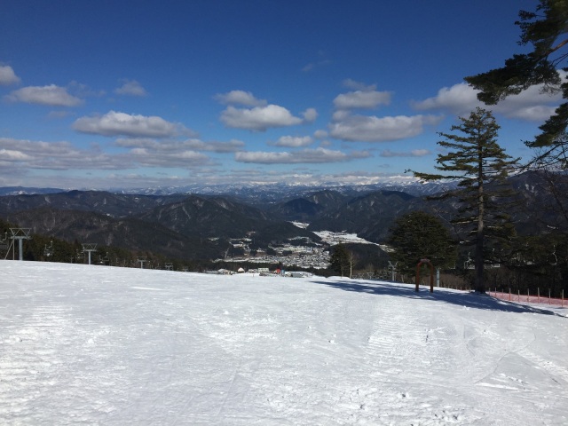 中古車販売 中古車買取 アップル