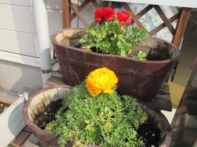 中古車販売 中古車買取 アップル