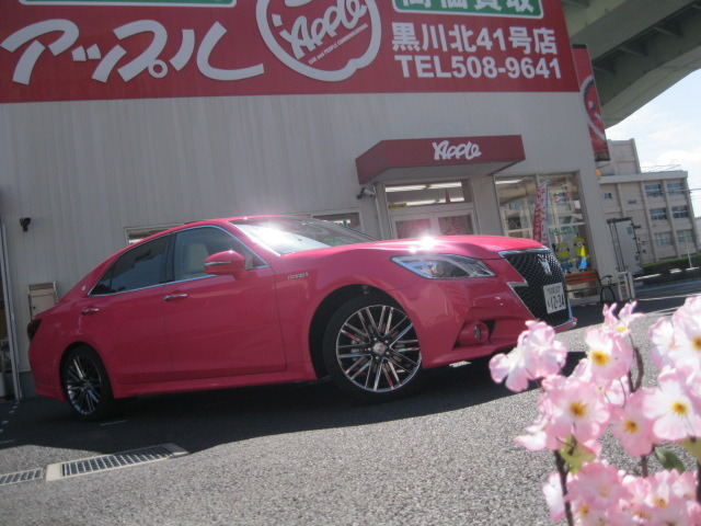 中古車販売 中古車買取 アップル