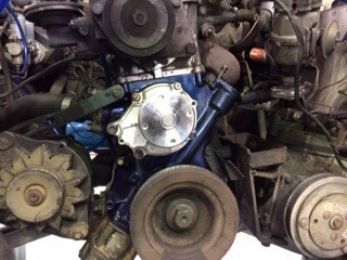 中古車販売 中古車買取 アップル