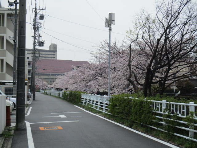 中古車販売 中古車買取 アップル