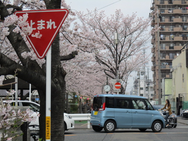 中古車販売 中古車買取 アップル