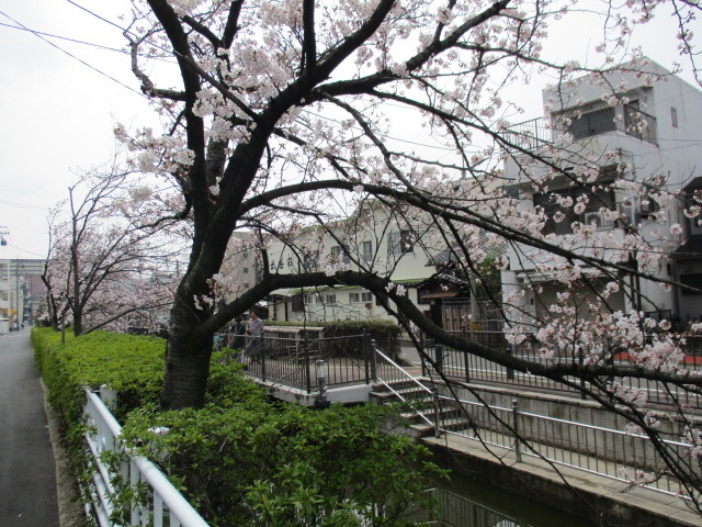 中古車販売 中古車買取 アップル