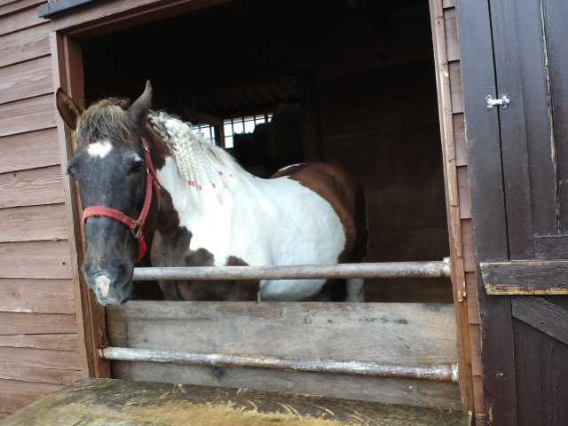 中古車販売 中古車買取 アップル