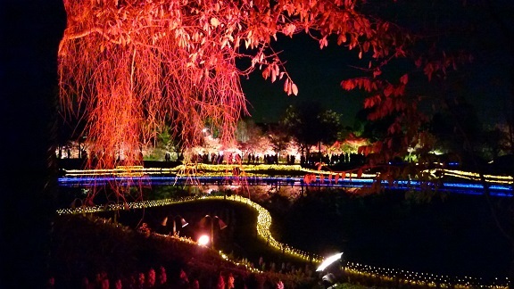 中古車販売 中古車買取 アップル