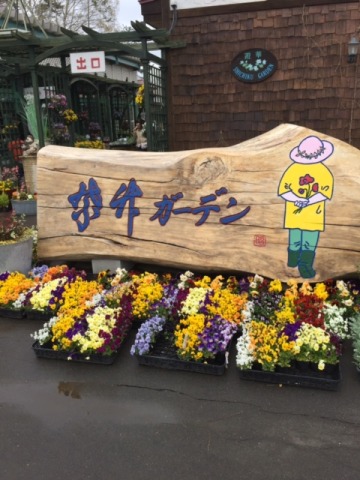 中古車販売 中古車買取 アップル