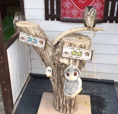 中古車販売 中古車買取 アップル