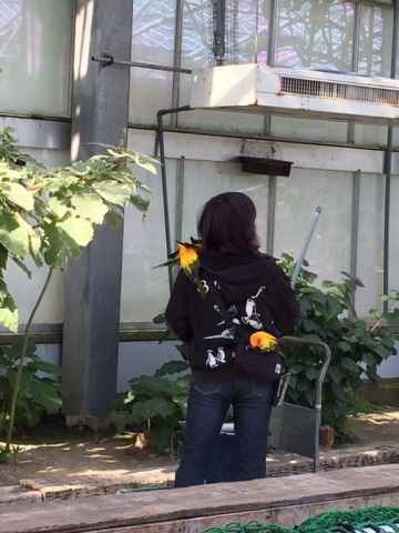 中古車販売 中古車買取 アップル