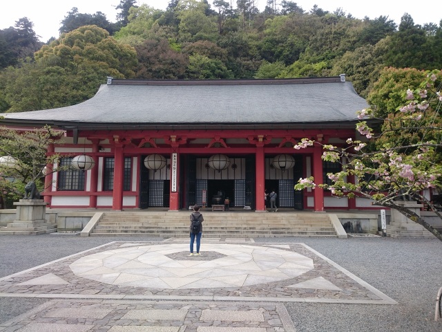 中古車販売 中古車買取 アップル