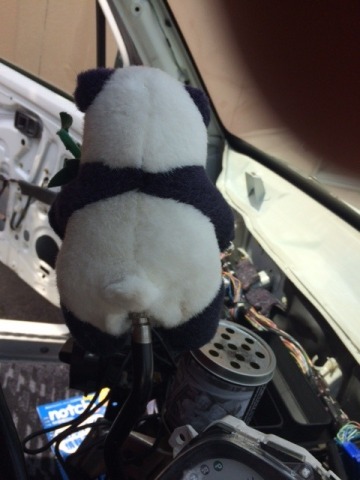 中古車販売 中古車買取 アップル