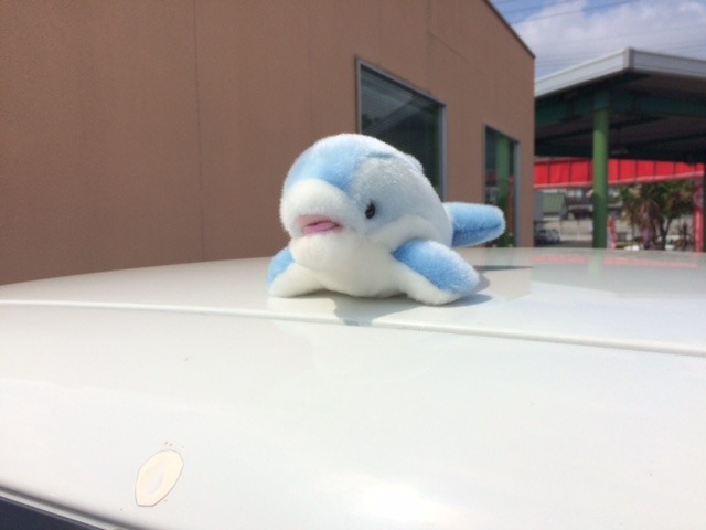 中古車販売 中古車買取 アップル