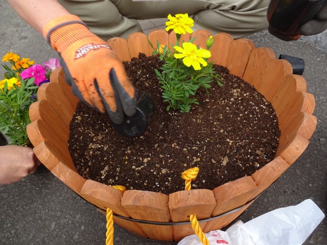 中古車販売 中古車買取 アップル