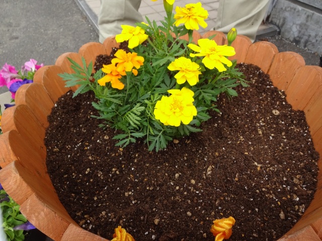 中古車販売 中古車買取 アップル