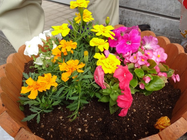 中古車販売 中古車買取 アップル