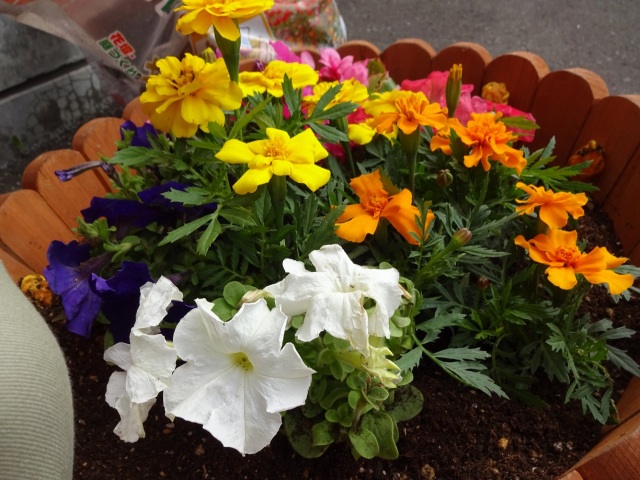 中古車販売 中古車買取 アップル