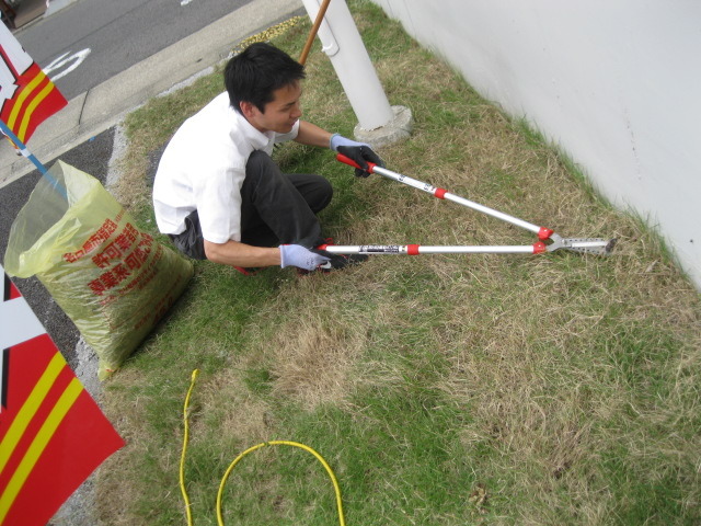 中古車販売 中古車買取 アップル